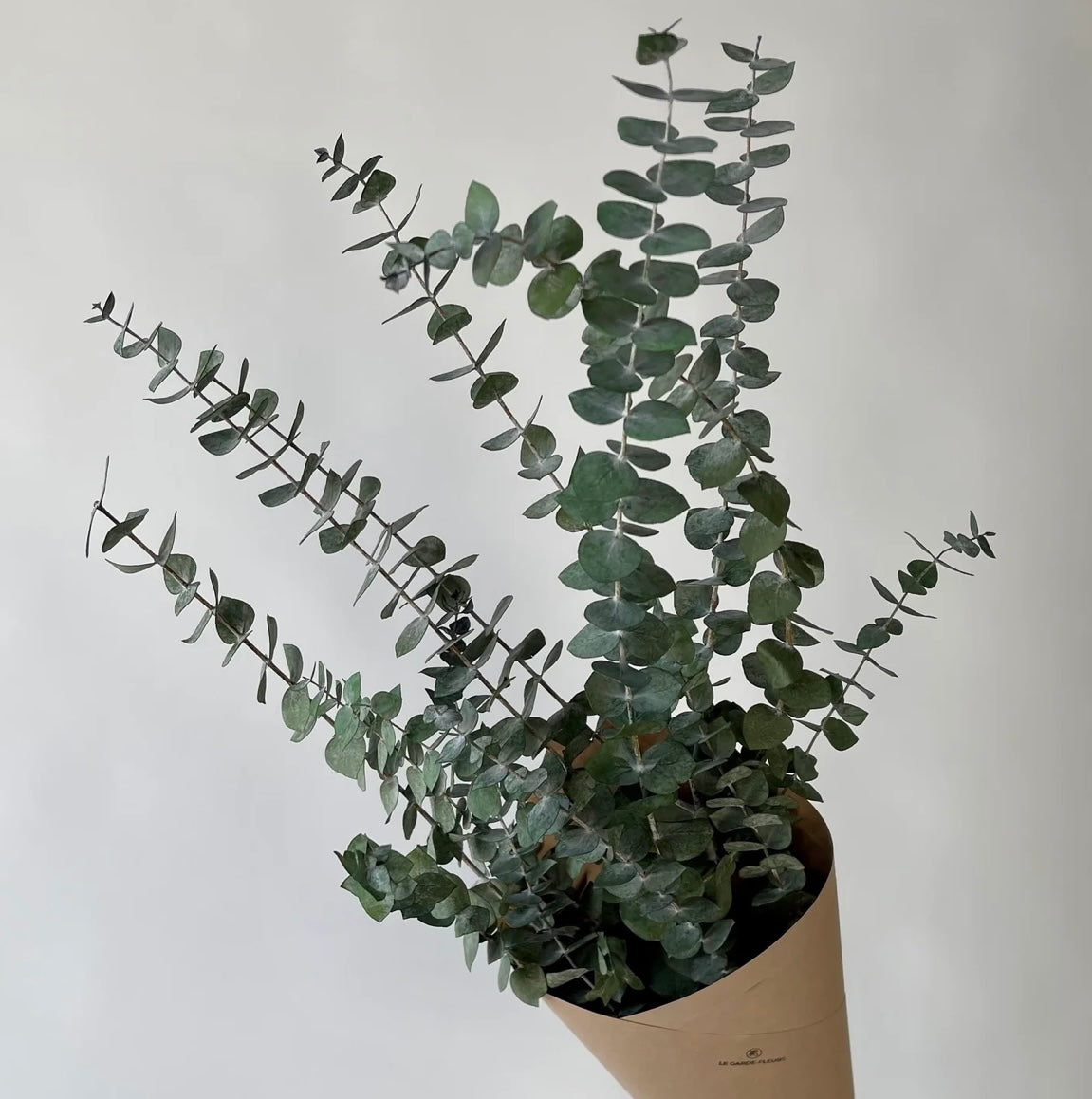 Eucalyptus 90g